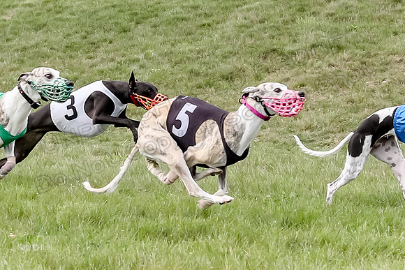 Program 4 Race 3, Axl Tusi Joan Jett Booster Clara Raven-3976