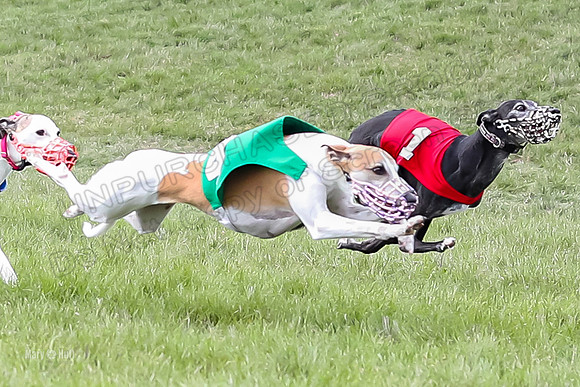 Program 4 Race 4, Bandit Gambit Amp Serena WillowF Raz-3994