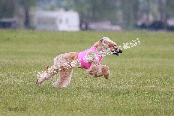 B Prelim Fch 1  Drum, Nike, Ingvar-0269