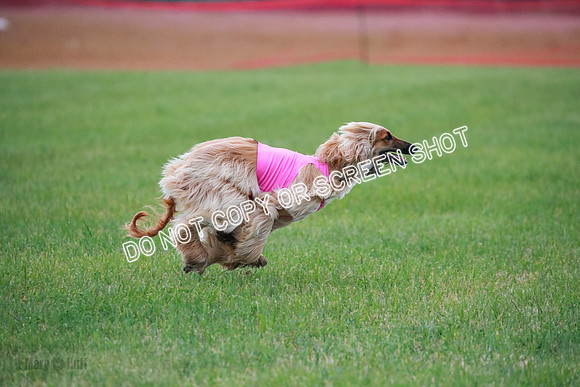 B Prelim Fch 1  Drum, Nike, Ingvar-0282