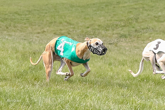 Program 4 Race 1, Denim Strummer Quinni Fia Bentley Bumble-3927-4