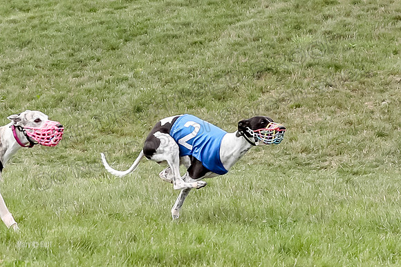 Program 4 Race 3, Axl Tusi Joan Jett Booster Clara Raven-3975