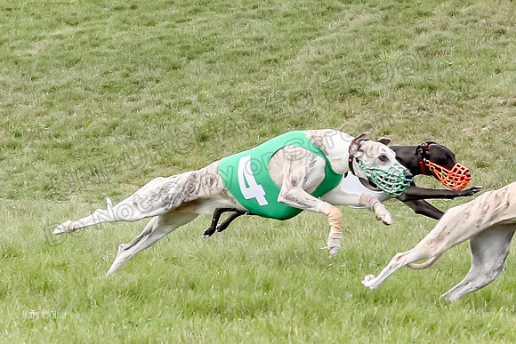 Program 4 Race 3, Axl Tusi Joan Jett Booster Clara Raven-3977-3