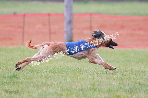 B Prelim Fch 1  Drum, Nike, Ingvar-0297