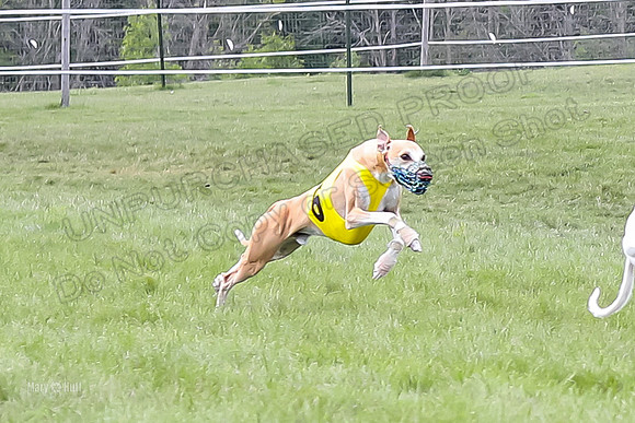 Program 4 Race 4, Bandit Gambit Amp Serena WillowF Raz-3991
