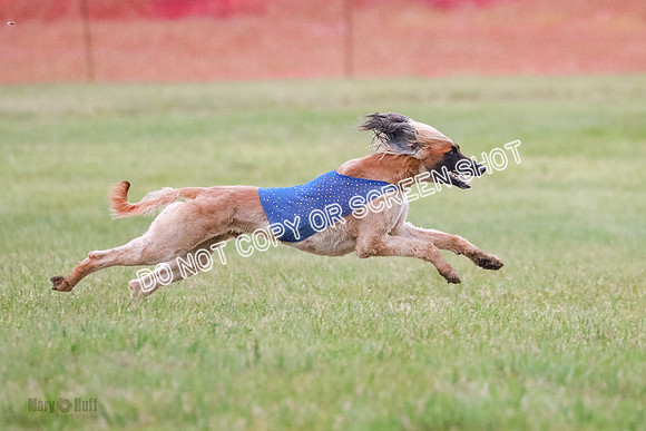 B Prelim Fch 1  Drum, Nike, Ingvar-0308