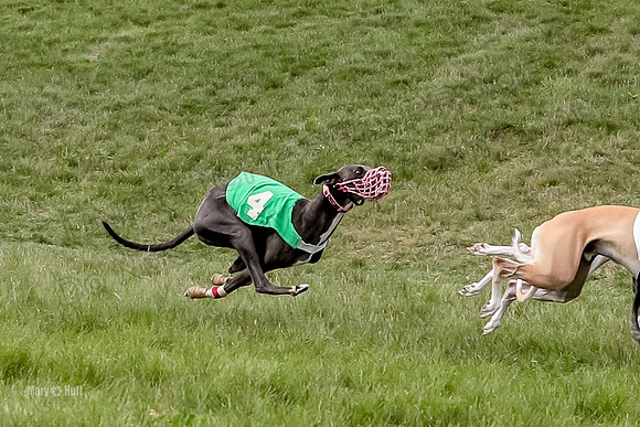 Program 4 Race 6, Bogie Ready Marty Sneakers Chip Lola-4045