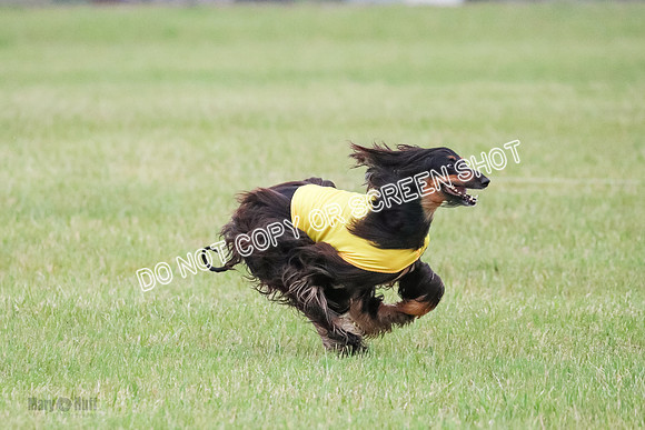 A Prelim Open 2 Oakley Isha-0205