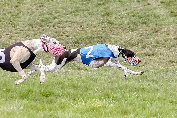Program 4 Race 3, Axl Tusi Joan Jett Booster Clara Raven-3977-4