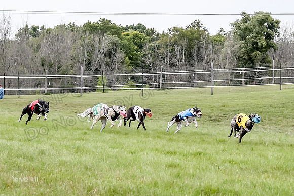 Program 4 Race 3, Axl Tusi Joan Jett Booster Clara Raven-3966