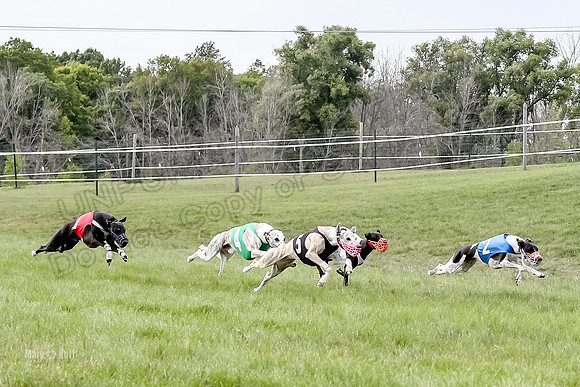 Program 4 Race 3, Axl Tusi Joan Jett Booster Clara Raven-3970
