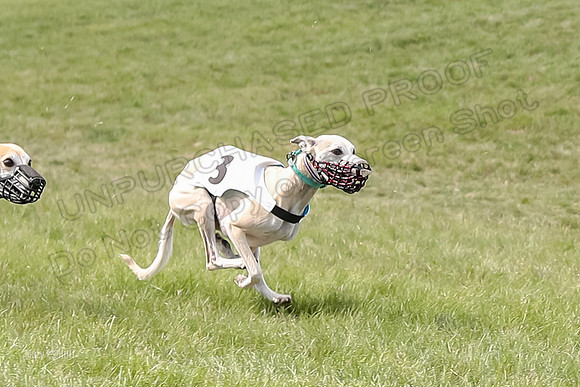 Program 4 Race 1, Denim Strummer Quinni Fia Bentley Bumble-3927-3