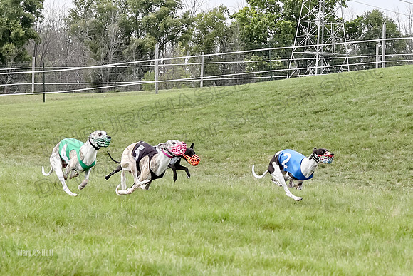 Program 4 Race 3, Axl Tusi Joan Jett Booster Clara Raven-3972