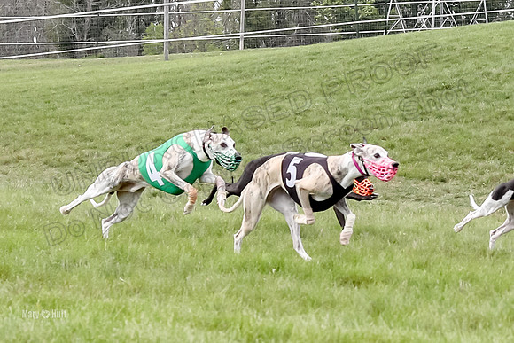 Program 4 Race 3, Axl Tusi Joan Jett Booster Clara Raven-3973