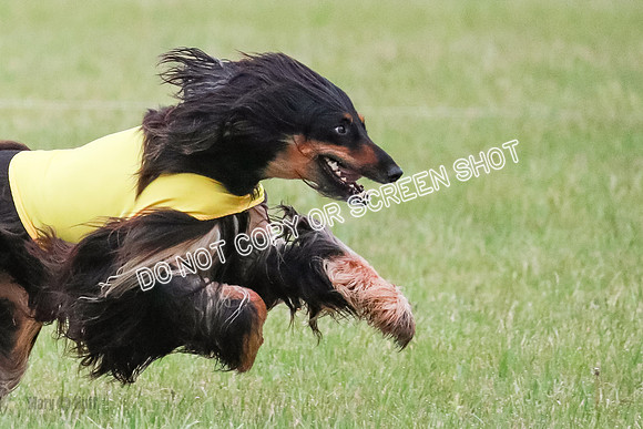 A Prelim Open 2 Oakley Isha-0206