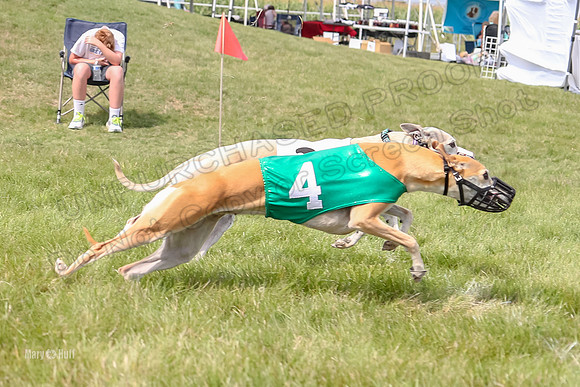 Program 4 Race 1, Denim Strummer Quinni Fia Bentley Bumble-3935