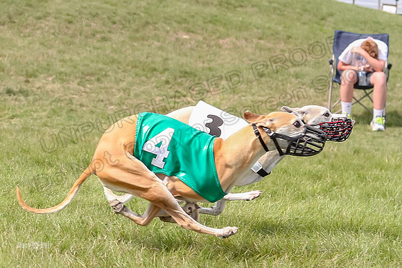 Program 4 Race 1, Denim Strummer Quinni Fia Bentley Bumble-3934