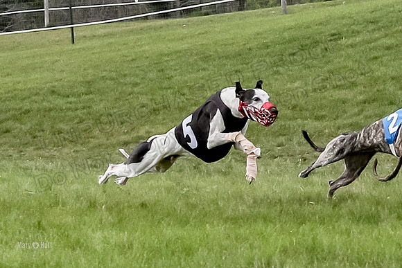 Program 4 Race 9, Halford SweetNLow Janey Cheers Bindi-4092-2