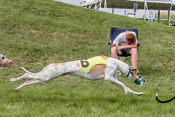 Program 4 Race 2, Zen Jett Digger Stella Tie-Dye Ace-3955