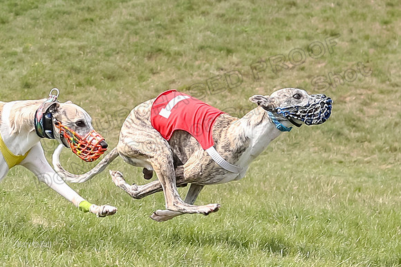 Program 4 Race 1, Denim Strummer Quinni Fia Bentley Bumble-3927