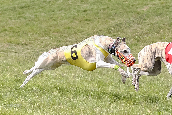 Program 4 Race 1, Denim Strummer Quinni Fia Bentley Bumble-3926