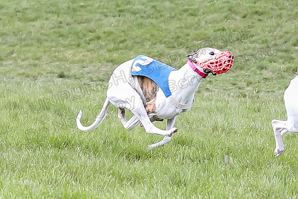 Program 4 Race 4, Bandit Gambit Amp Serena WillowF Raz-3995-2