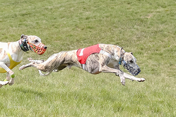Program 4 Race 1, Denim Strummer Quinni Fia Bentley Bumble-3925