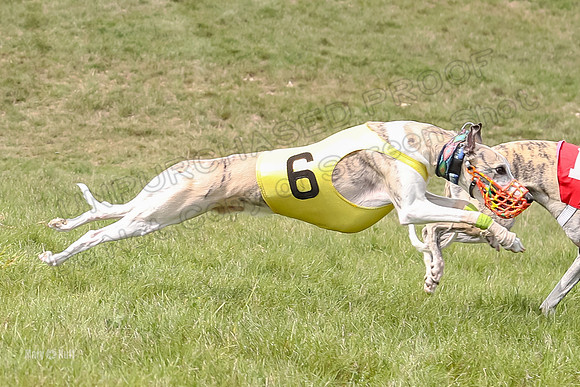 Program 4 Race 1, Denim Strummer Quinni Fia Bentley Bumble-3930