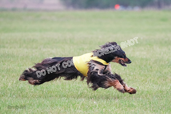A Prelim Open 2 Oakley Isha-0202