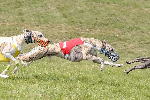 Program 4 Race 1, Denim Strummer Quinni Fia Bentley Bumble-3929