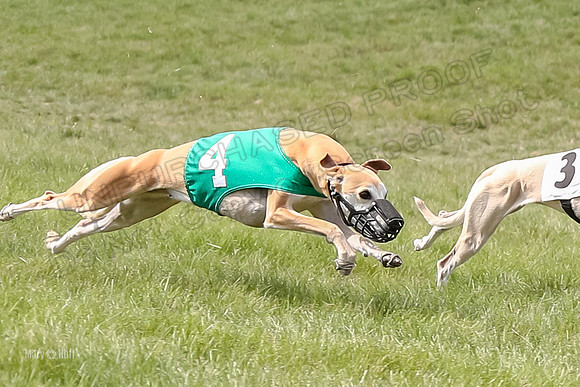 Program 4 Race 1, Denim Strummer Quinni Fia Bentley Bumble-3928