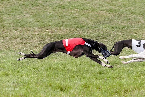 Program 4 Race 3, Axl Tusi Joan Jett Booster Clara Raven-3981-2