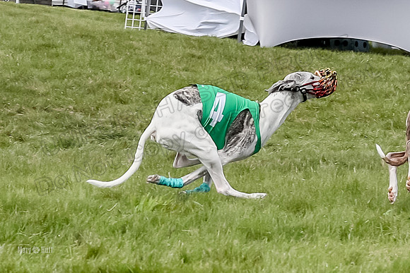 Program 4 Race 2, Zen Jett Digger Stella Tie-Dye Ace-3960