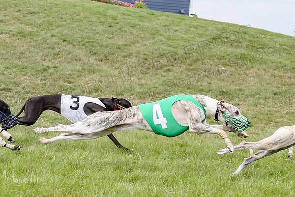 Program 4 Race 3, Axl Tusi Joan Jett Booster Clara Raven-3981