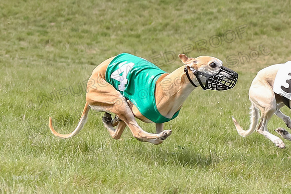 Program 4 Race 1, Denim Strummer Quinni Fia Bentley Bumble-3930-2