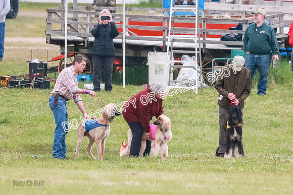 B Prelim Fch 1  Drum, Nike, Ingvar-0236