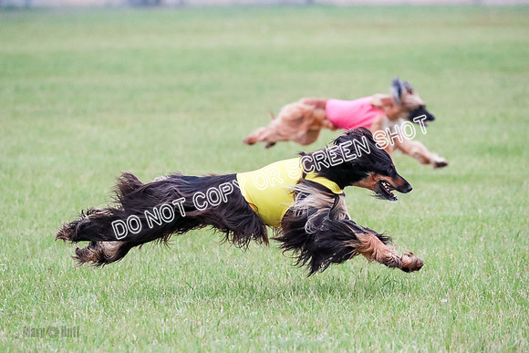 A Prelim Open 2 Oakley Isha-0214