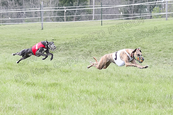 Program 4 Race 4, Bandit Gambit Amp Serena WillowF Raz-3988