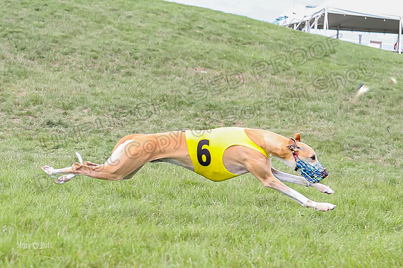 Program 4 Race 4, Bandit Gambit Amp Serena WillowF Raz-4003