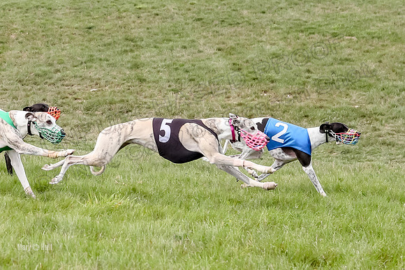 Program 4 Race 3, Axl Tusi Joan Jett Booster Clara Raven-3978