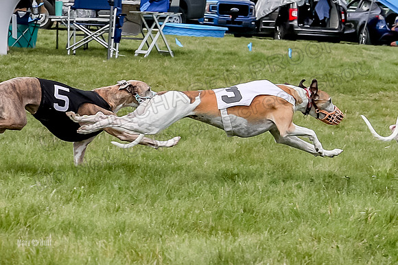 Program 4 Race 2, Zen Jett Digger Stella Tie-Dye Ace-3960-2