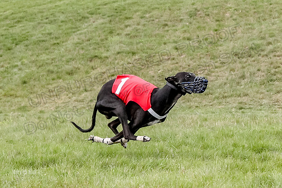 Program 4 Race 3, Axl Tusi Joan Jett Booster Clara Raven-3979