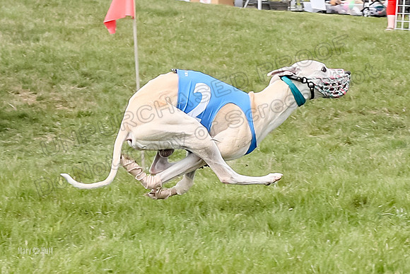 Program 4 Race 5, Devo Oscar Blaze Riley Jimmy Ringo-4031