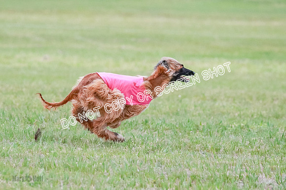A Prelim Open 2 Oakley Isha-0224