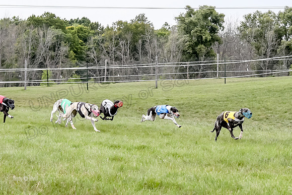 Program 4 Race 3, Axl Tusi Joan Jett Booster Clara Raven-3967