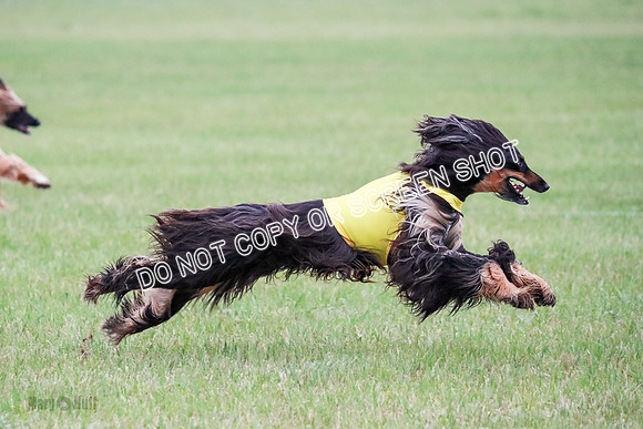A Prelim Open 2 Oakley Isha-0219