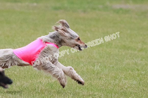A Prelim Open 1 Freya Jib Ghissa-0136