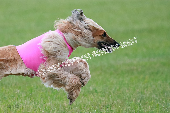 B Prelim Fch 1  Drum, Nike, Ingvar-0279-2