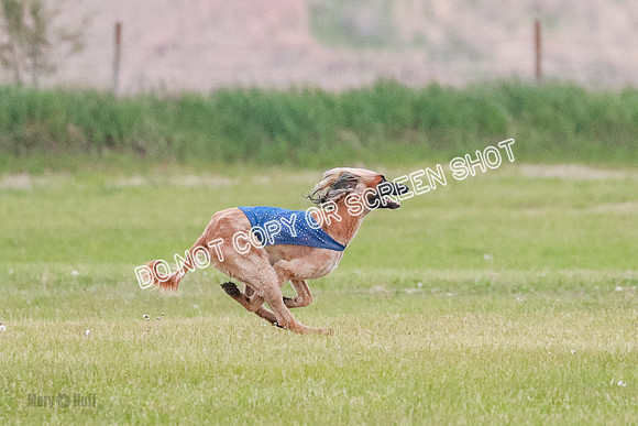 B Prelim Fch 1  Drum, Nike, Ingvar-0239