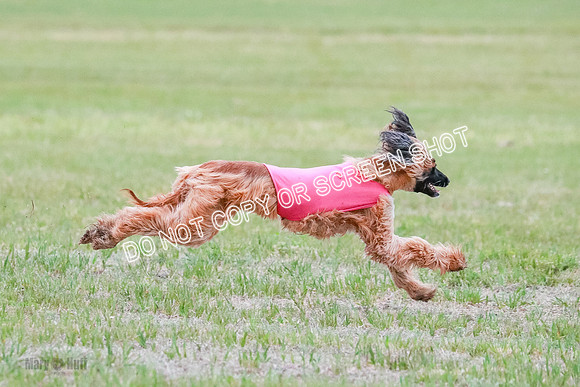 A Prelim Open 2 Oakley Isha-0227